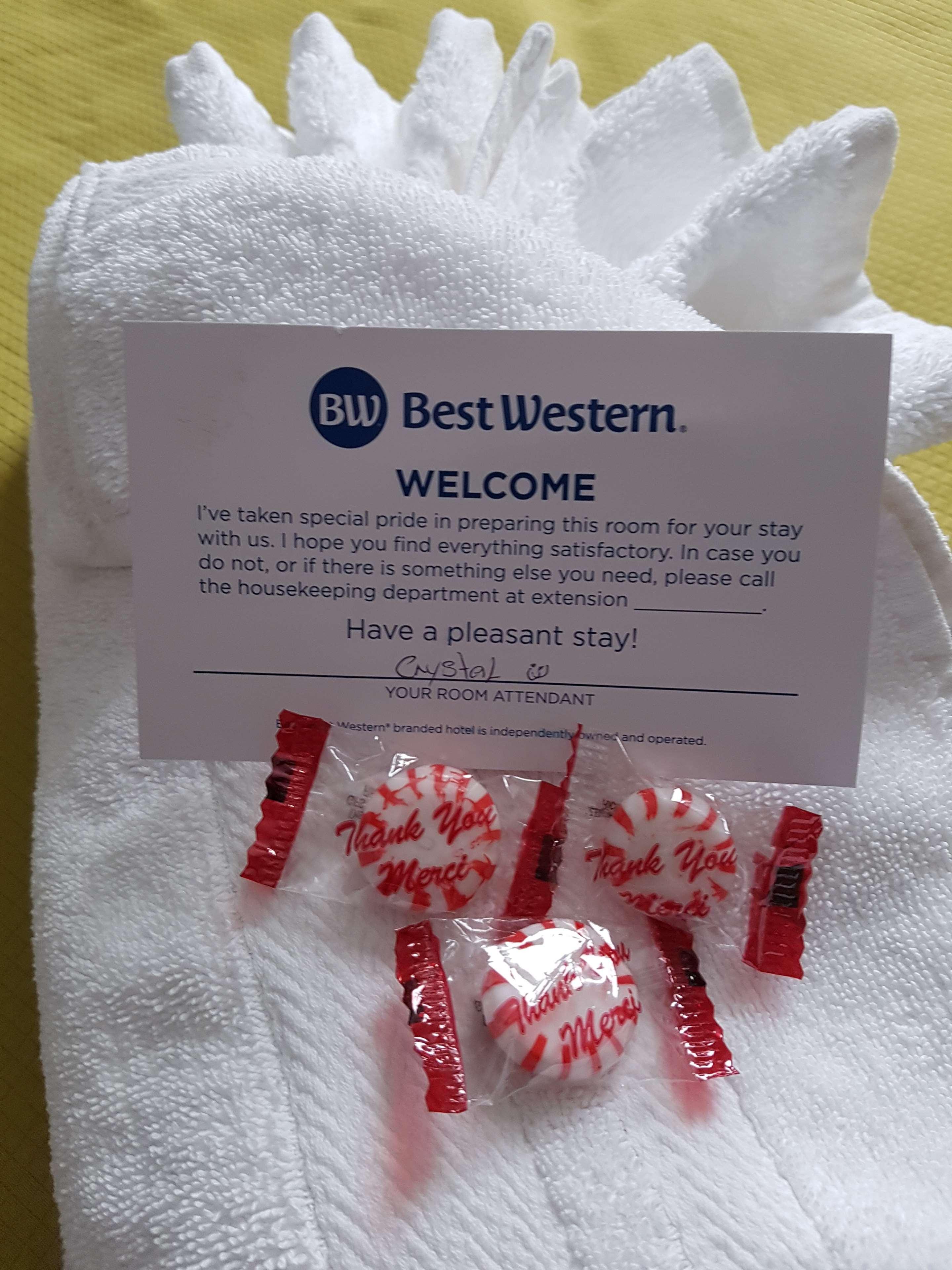 Best Western Plus Durham Hotel & Conference Centre Ошава Экстерьер фото