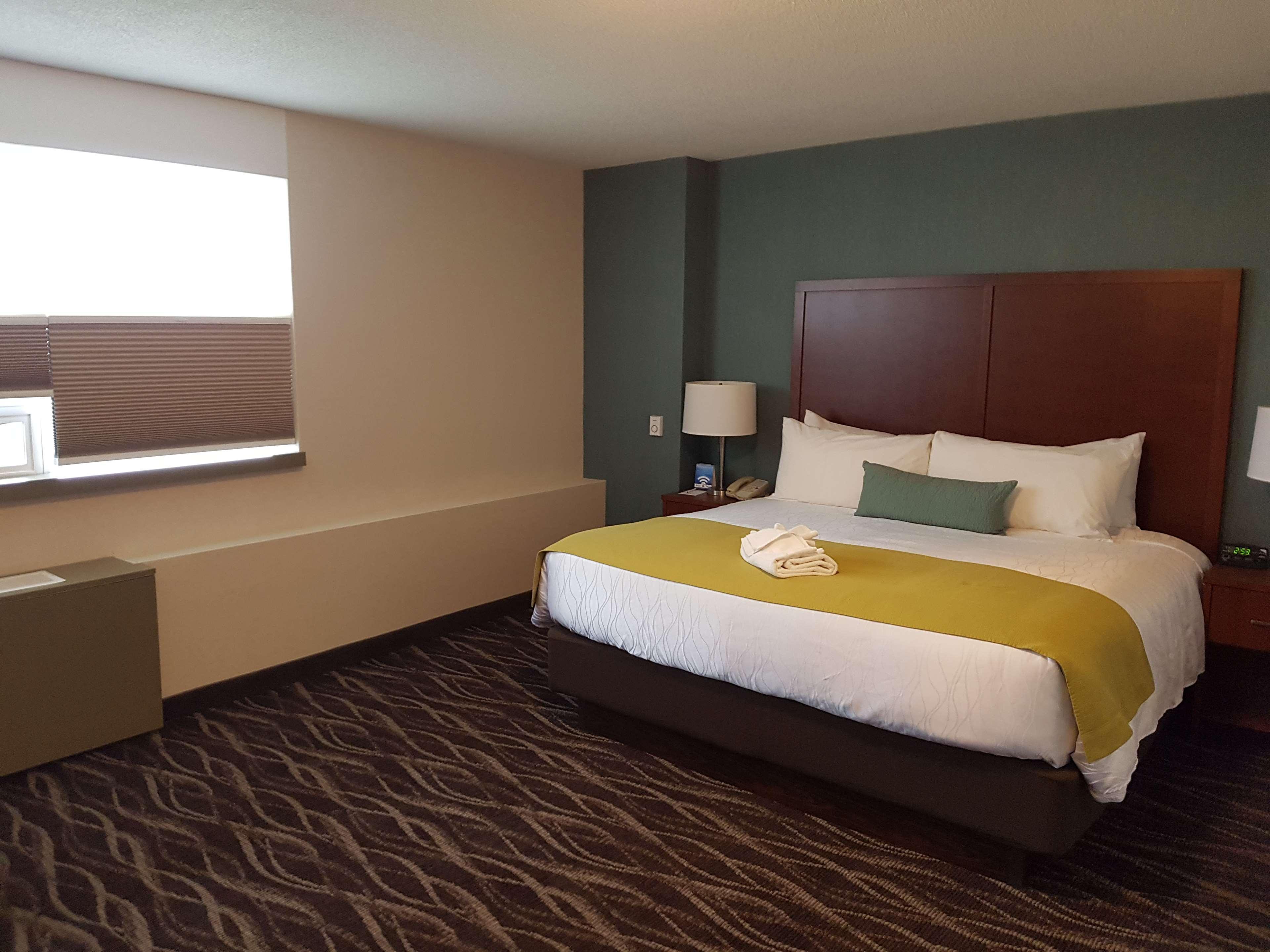 Best Western Plus Durham Hotel & Conference Centre Ошава Экстерьер фото