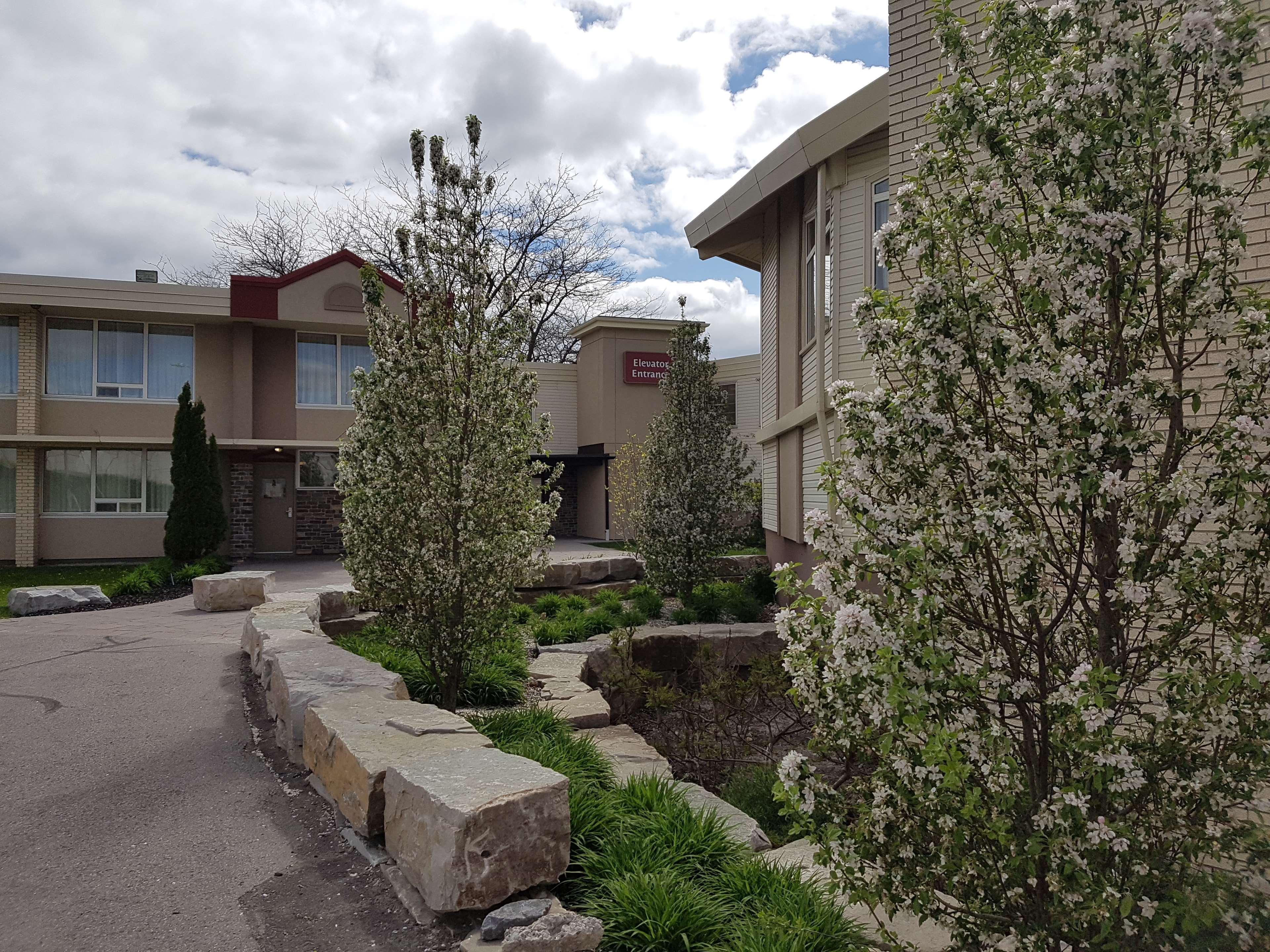 Best Western Plus Durham Hotel & Conference Centre Ошава Экстерьер фото