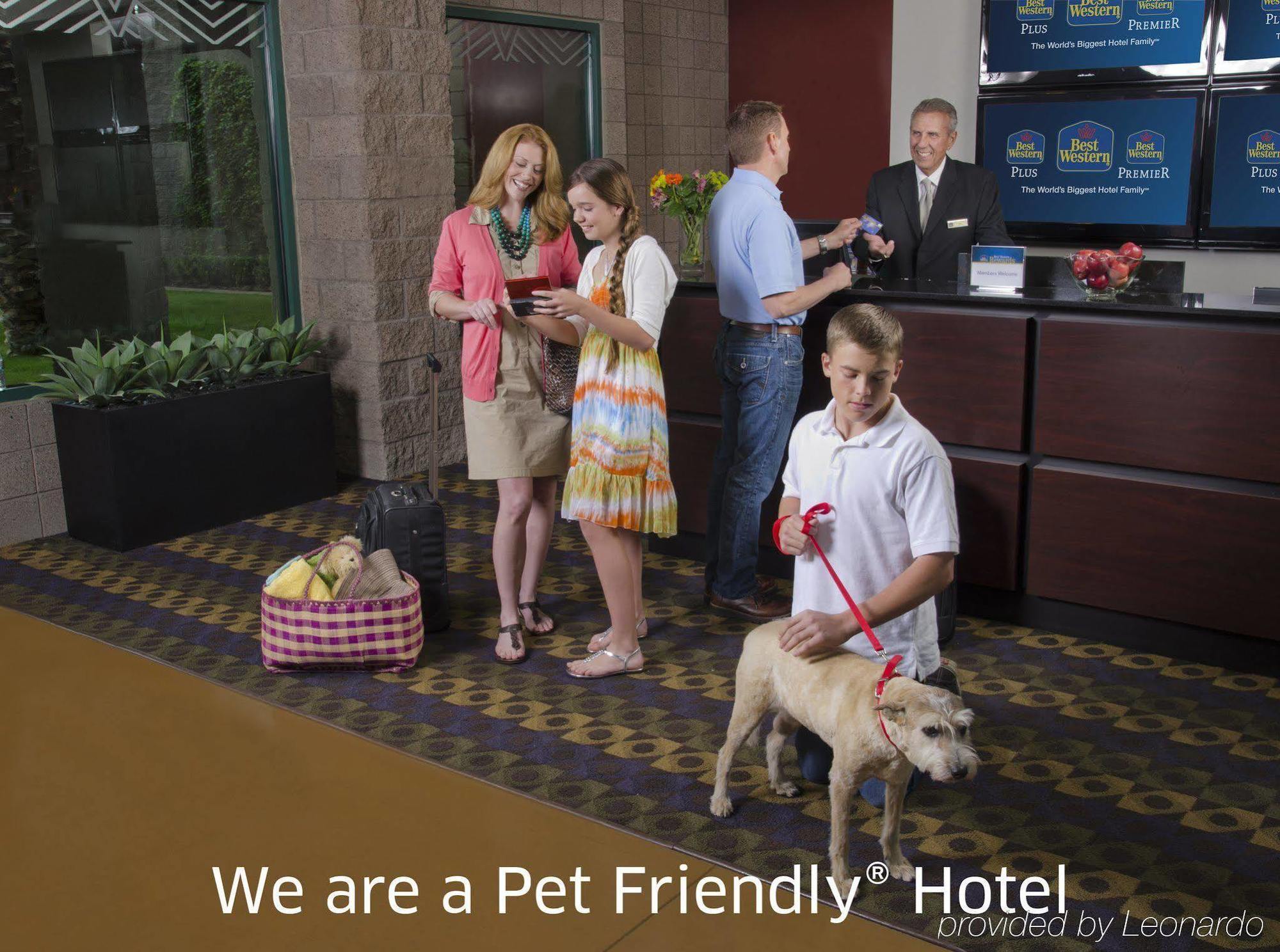 Best Western Plus Durham Hotel & Conference Centre Ошава Экстерьер фото